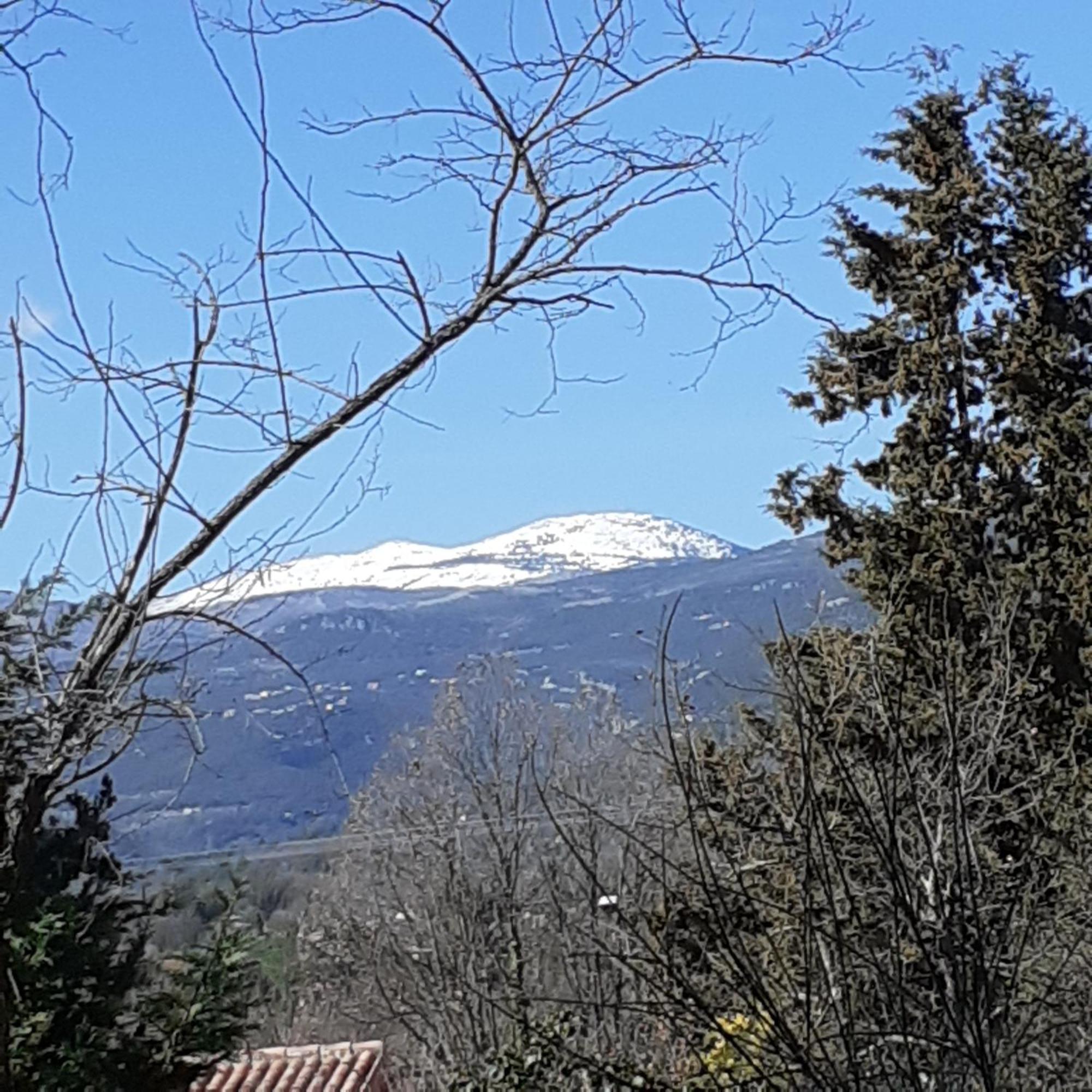 Laserregnol Saint-Cézaire-sur-Siagne エクステリア 写真